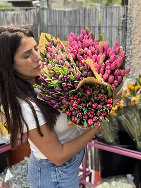50 טוליפים