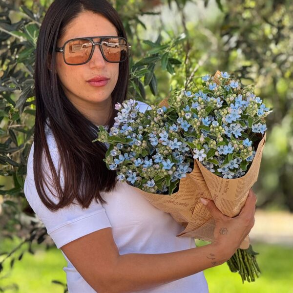 2 חבילות טויידה תכלת