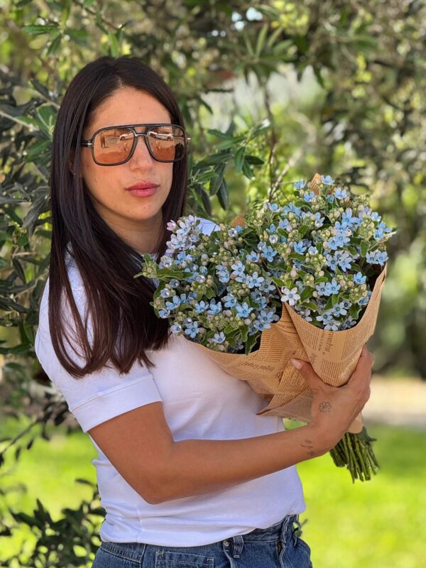 2 חבילות טויידה תכלת