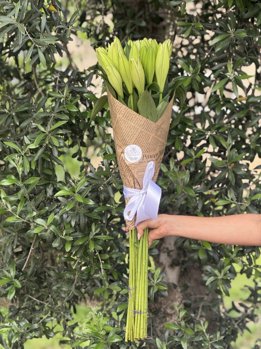 לה בוטיק