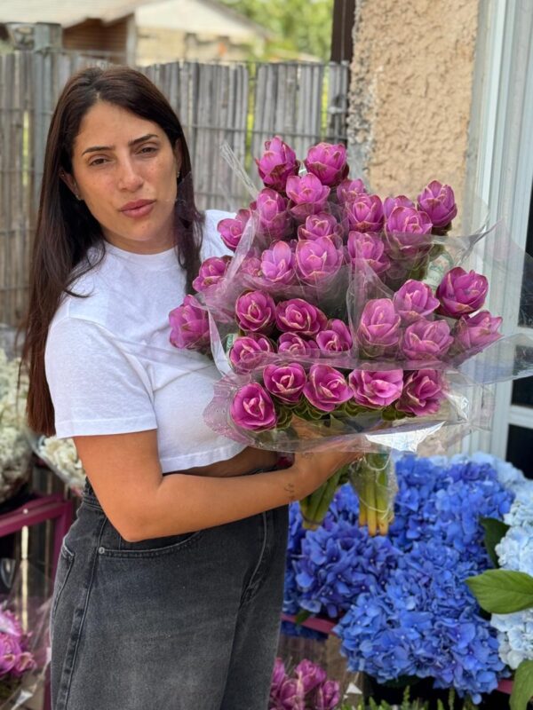 20 קורקומה