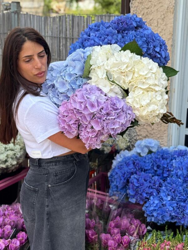 5 הורטנזיות